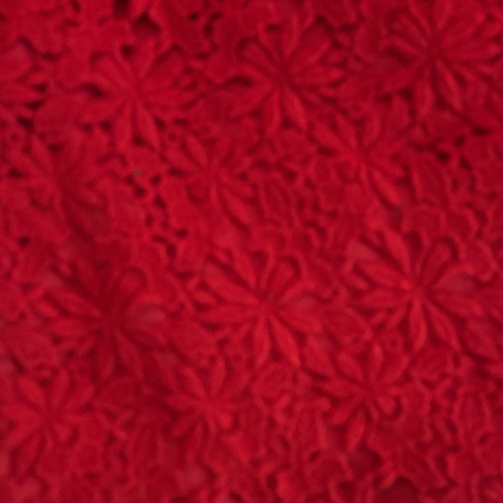 Talbots Red Lace Pencil Skirt - Picture 2 of 7